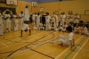Capoeira Workshops for Schools