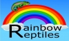 Rainbow Reptiles